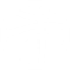 white basketball