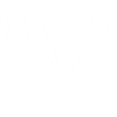white trophy